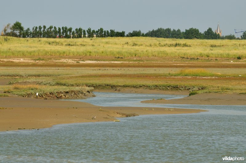 Reservaat De IJzermonding