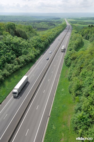 Autosnelweg als barrière in bebost landschap