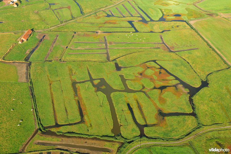 Dudzeelse polder