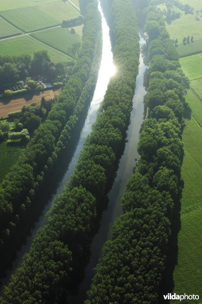 Het Schipdonkkanaal en het Leopoldkanaal