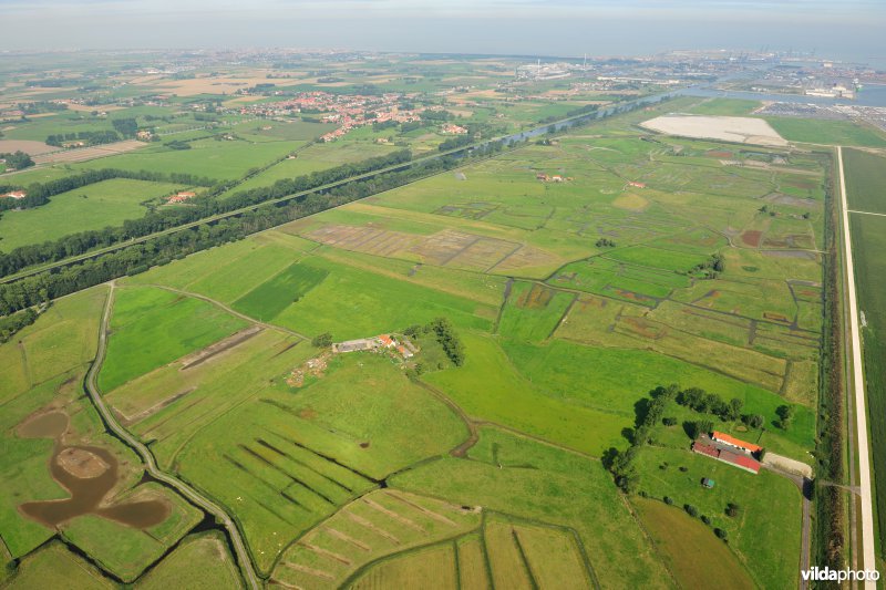 Dudzeelse polder