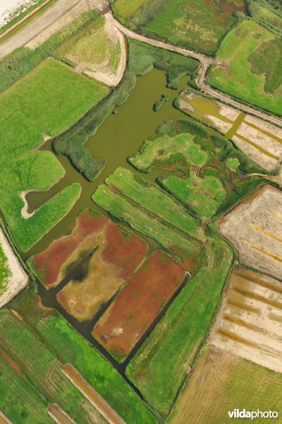 Dudzeelse polder