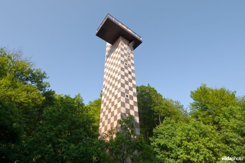 Uitzichttoren Kaapse Bossen