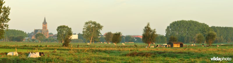 Avelgemse Scheldemeersen