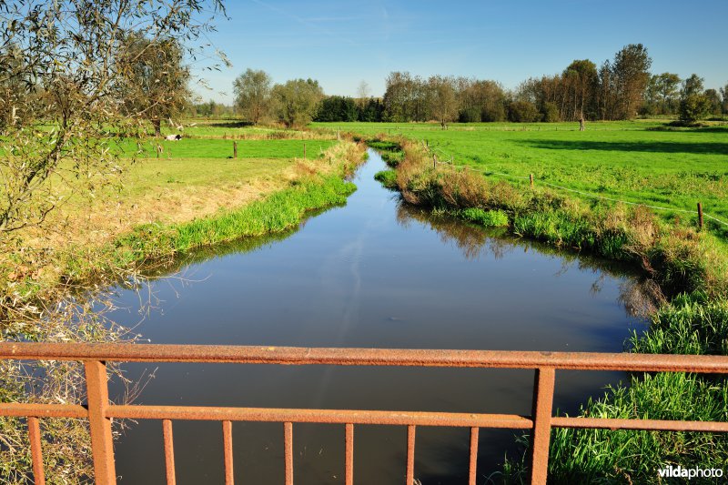 Kalkense meersen