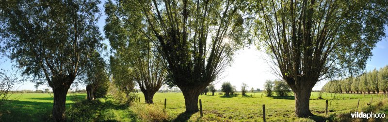 Veemeersen