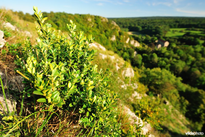 La Roche Ã  Lomme