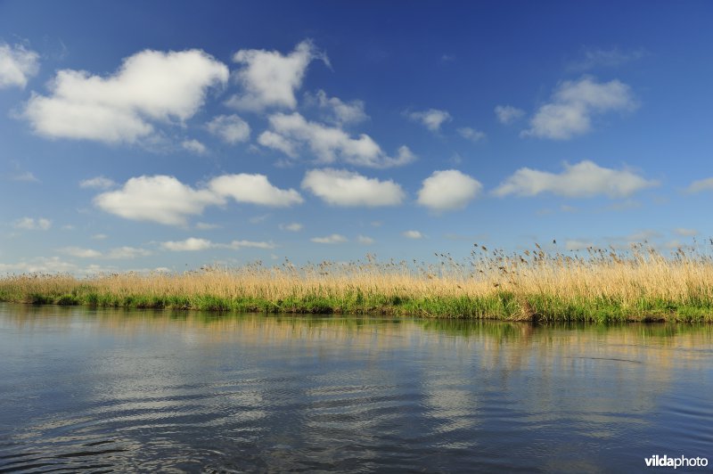 Vallei van de Biebrza