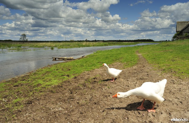 Vallei van de Biebrza