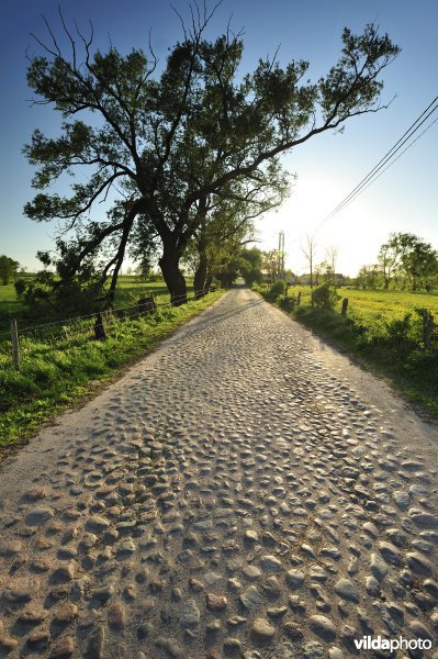 Oude kasseien weg in Polen