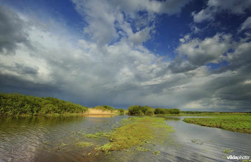 Vallei van de Biebrza