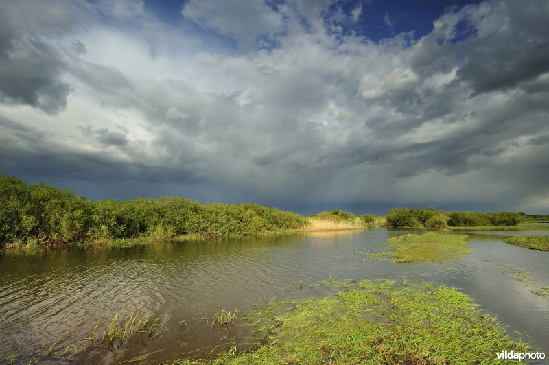 Vallei van de Biebrza