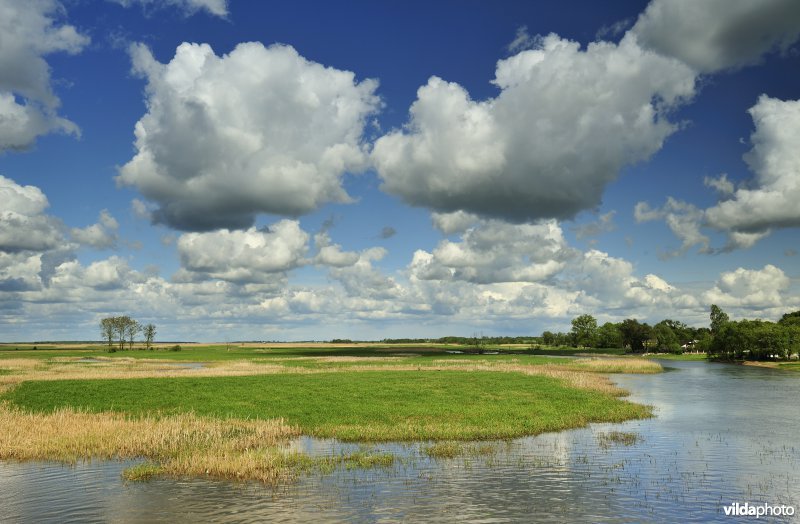 Vallei van de Biebrza