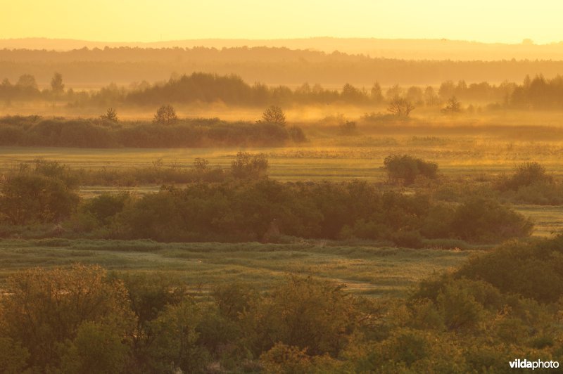 Vallei van de Biebrza