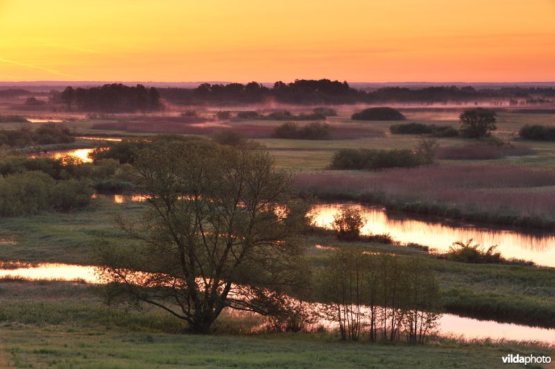 Vallei van de Biebrza