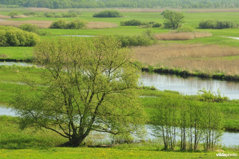 Vallei van de Biebrza