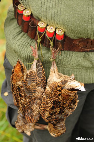 Jager met geschoten Houtsnippen