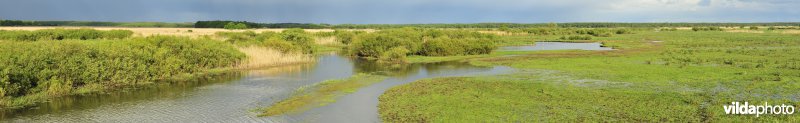 Vallei van de Biebrza