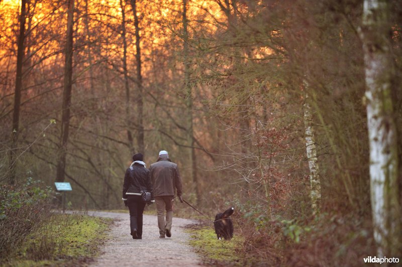 Wandelaars in het Molsbroek