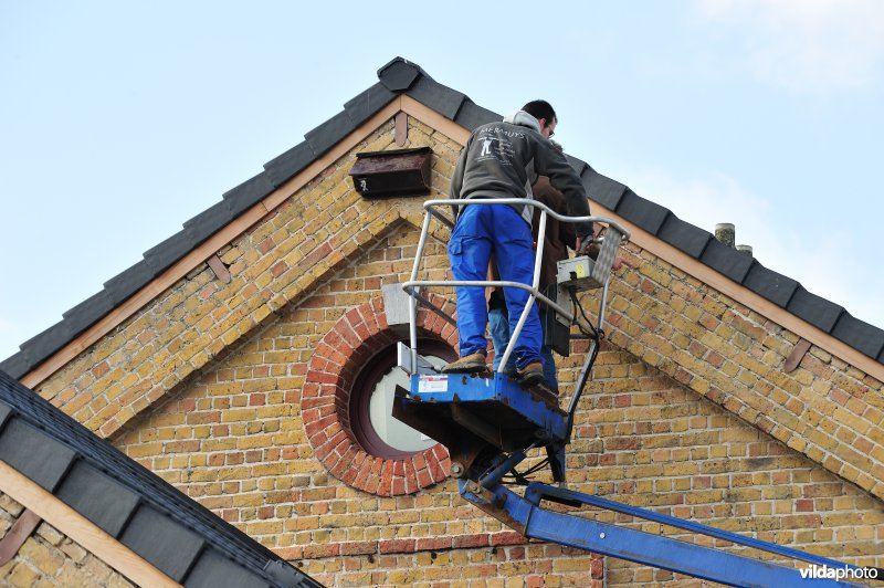 Ophangen van zwaluw-nestkasten
