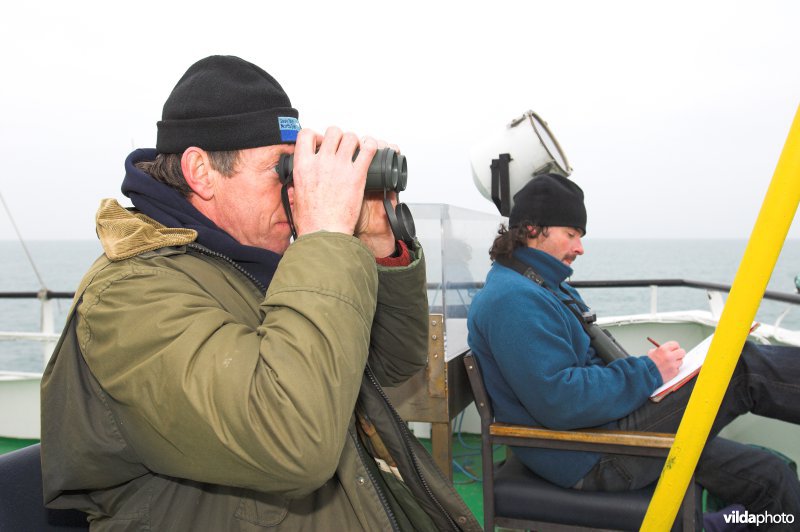 Vogels monitoren op de Noordzee