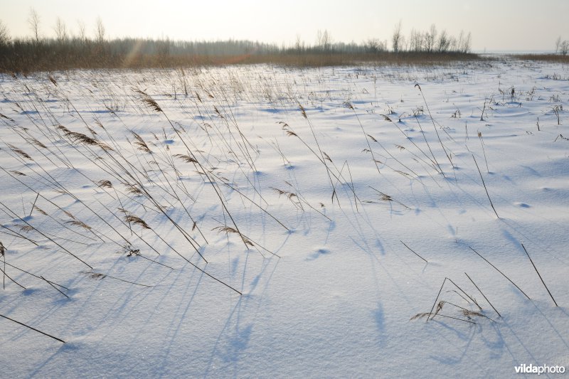 Vallei van de Biebrza