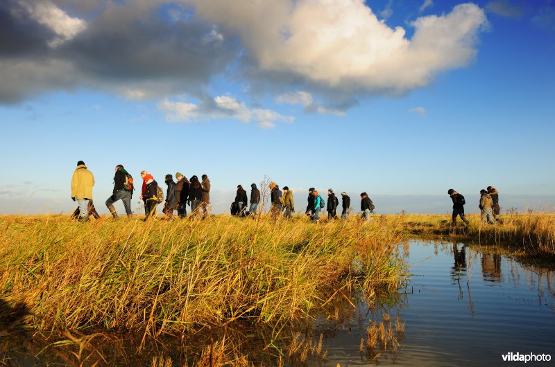 Excursie in het Verdronken Land van Saeftinghe