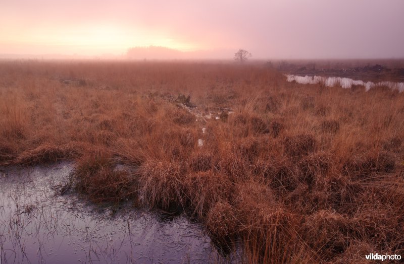 Haaksbergerveen