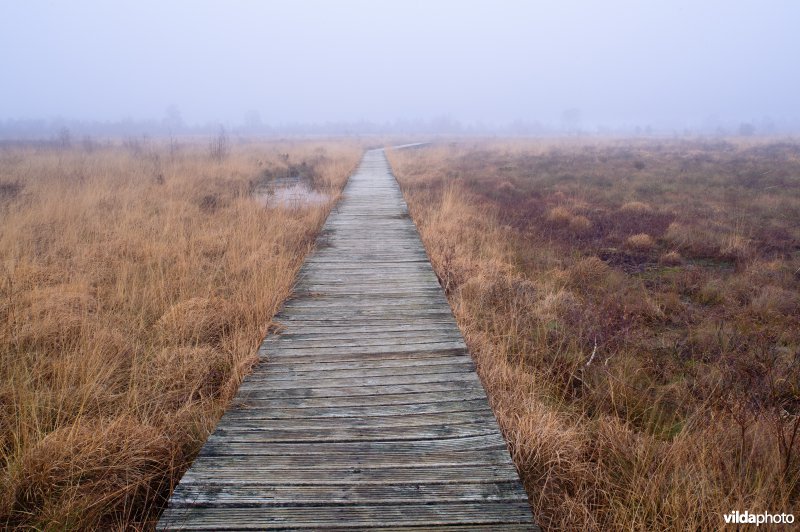 Haaksbergerveen