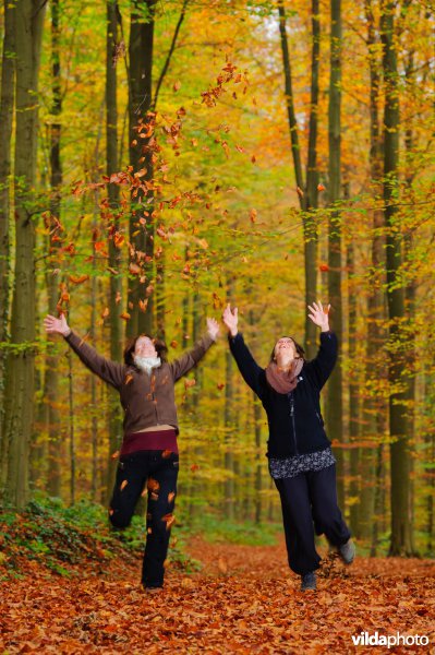 Genieten van de herfst