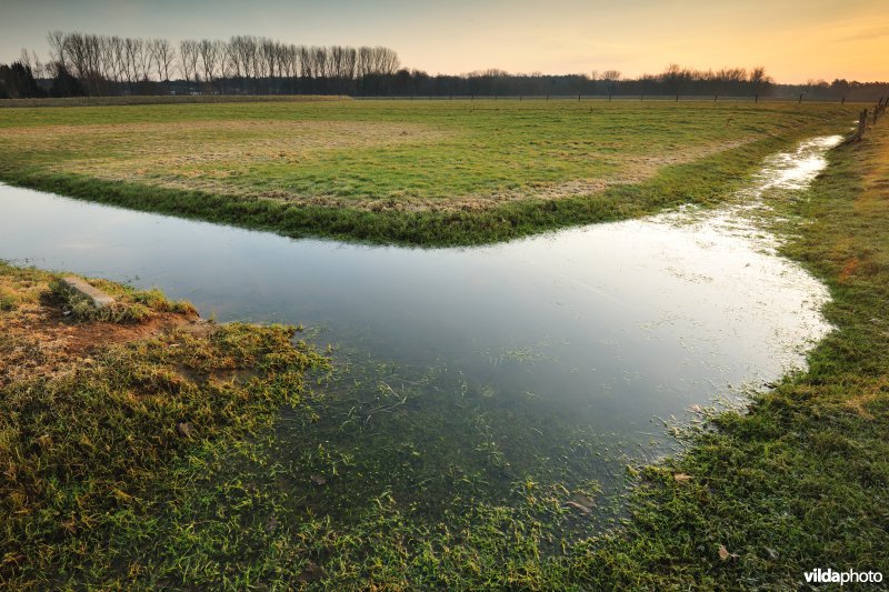 Dijlevallei Hollaken-Hoogdonk
