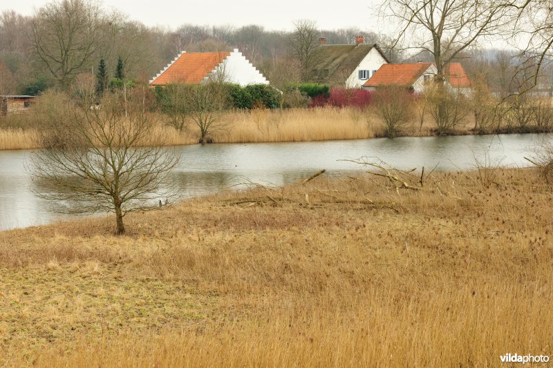 Grote Vijver deel 1 in het Zennegat