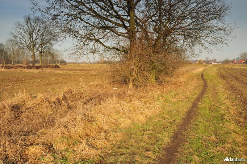 Dijlevallei Rijmenam: Pikhaken