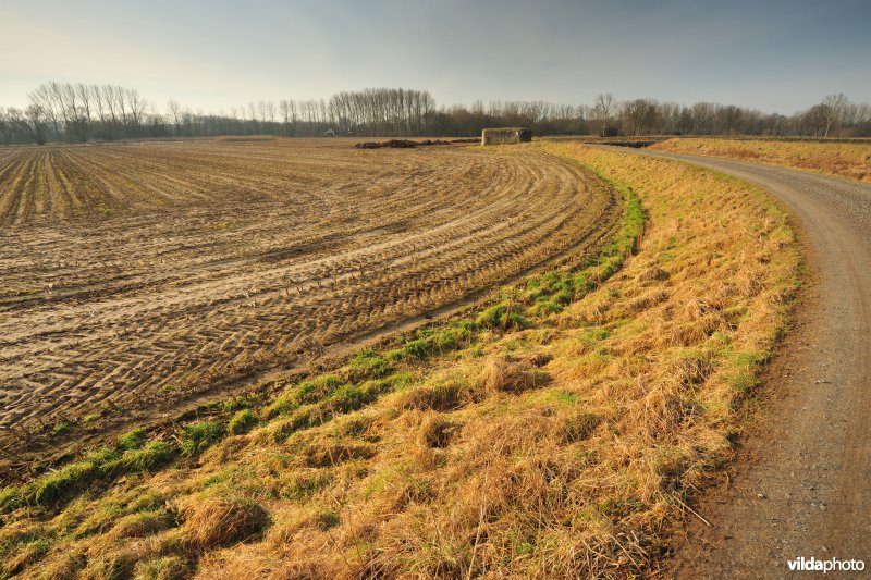 Dijlevallei Rijmenam: Pikhaken