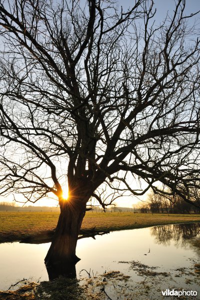 Dijlevallei Hollaken-Hoogdonk