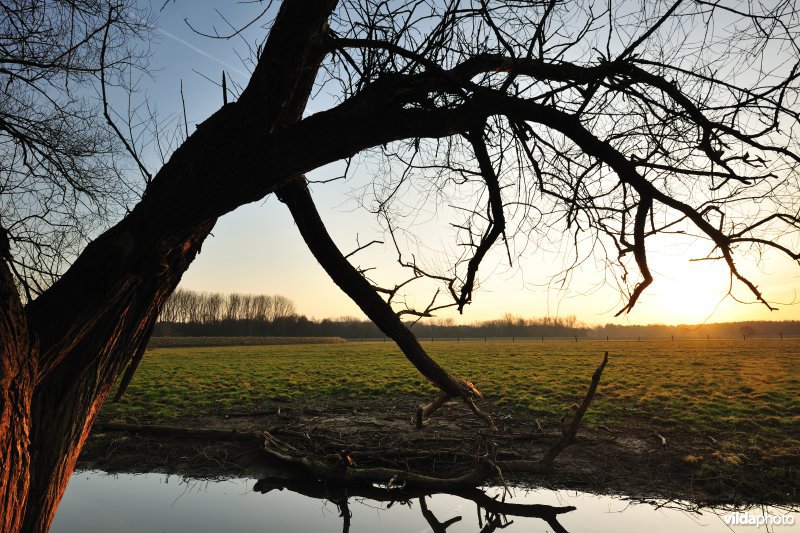 Dijlevallei Hollaken-Hoogdonk