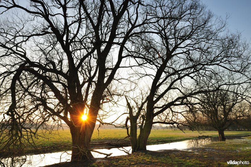 Dijlevallei Hollaken-Hoogdonk