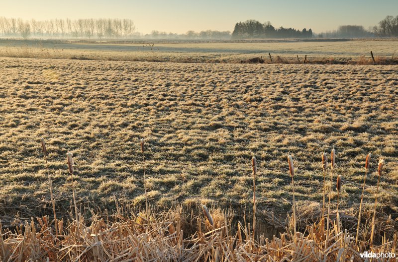 Weijmeerbroek