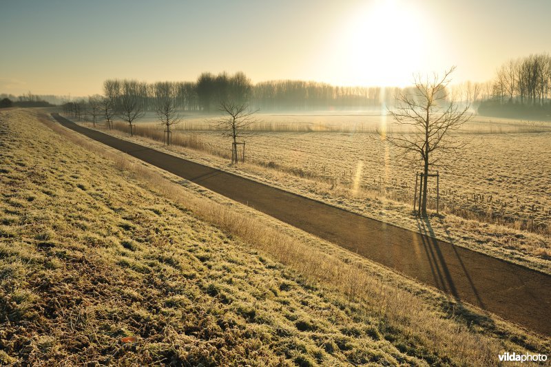 Weijmeerbroek