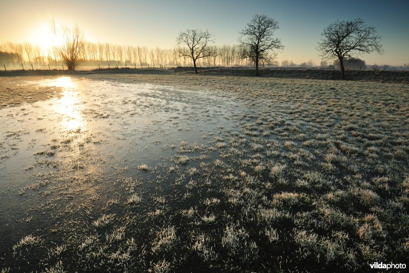 Weijmeerbroek