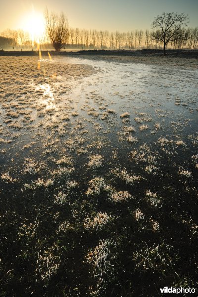 Weijmeerbroek