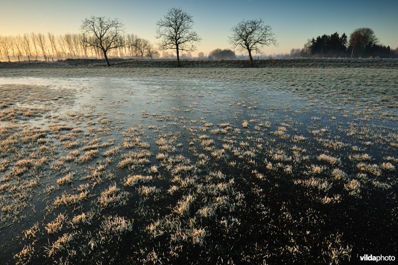 Weijmeerbroek