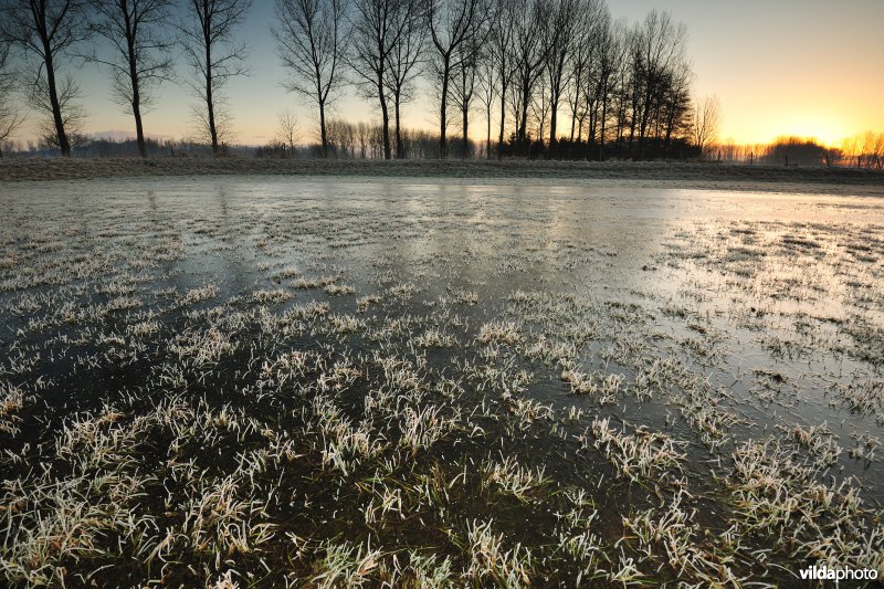 Weijmeerbroek