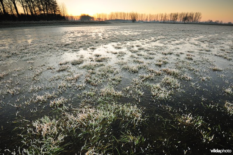 Weijmeerbroek