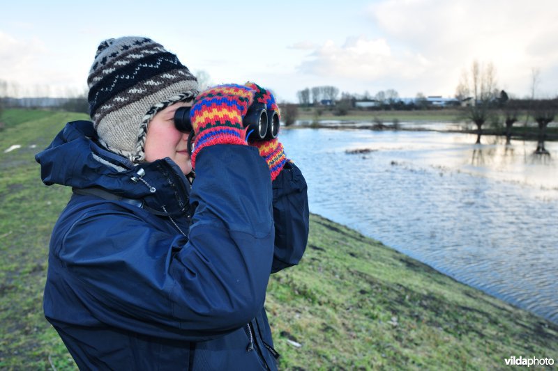 Vogelkijker in de Wijmeers