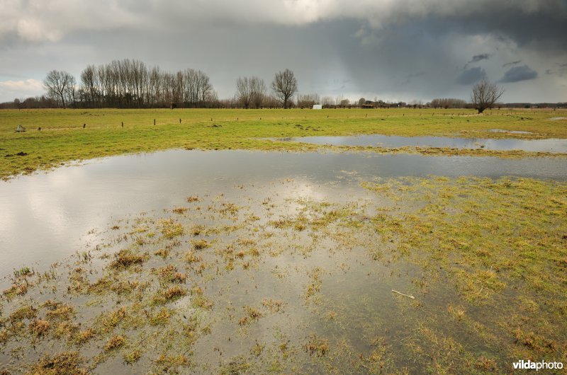 Vingelinkbeekvallei in de Kalkense meersen