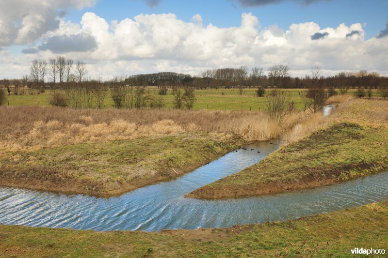 Wijmeers