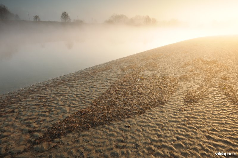 Schor bij de Bergenmeersen