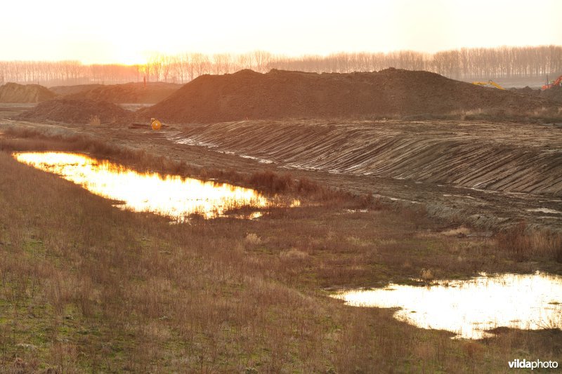 Prosperpolder