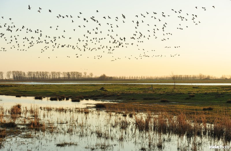 Putten West
